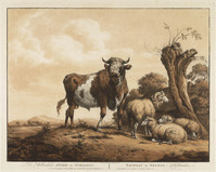 TvB G 1838
<br/>
Hollandse stier & schapen
<br/>
<em>Os, Pieter Gerardus van (1776-1839)</em>